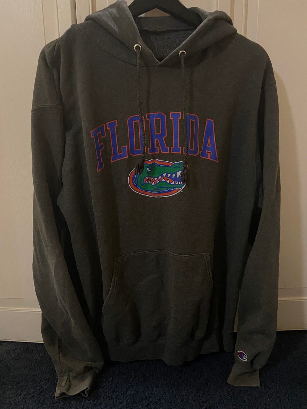Champion Florida Gators Hoodie
